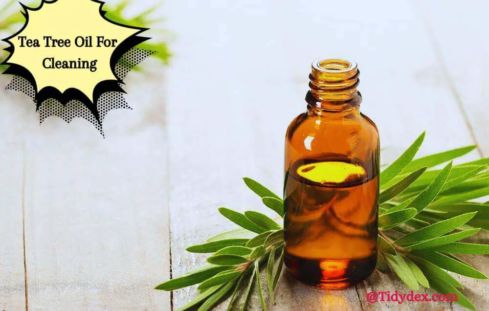 Tea Tree Oil For Cleaning