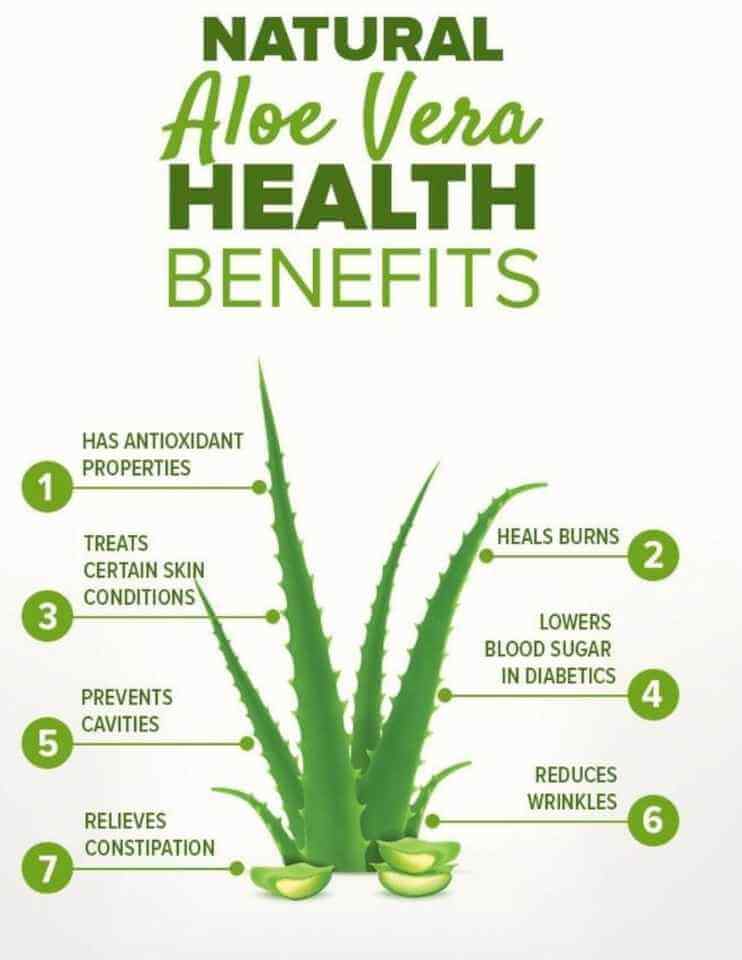 Health Benefits of Using Aloe Vera